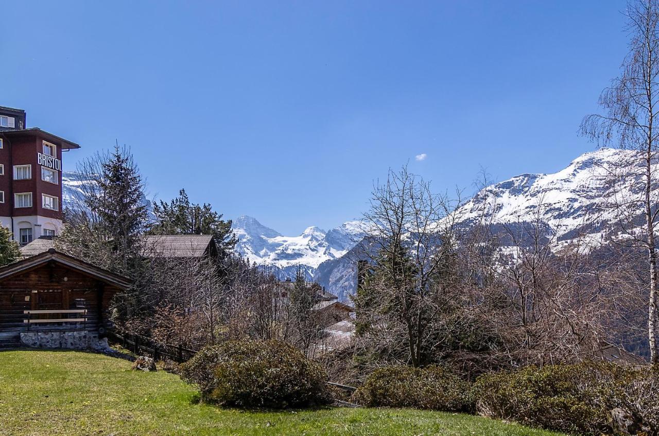 Chalet Steingaertli 1 Wengen Kültér fotó