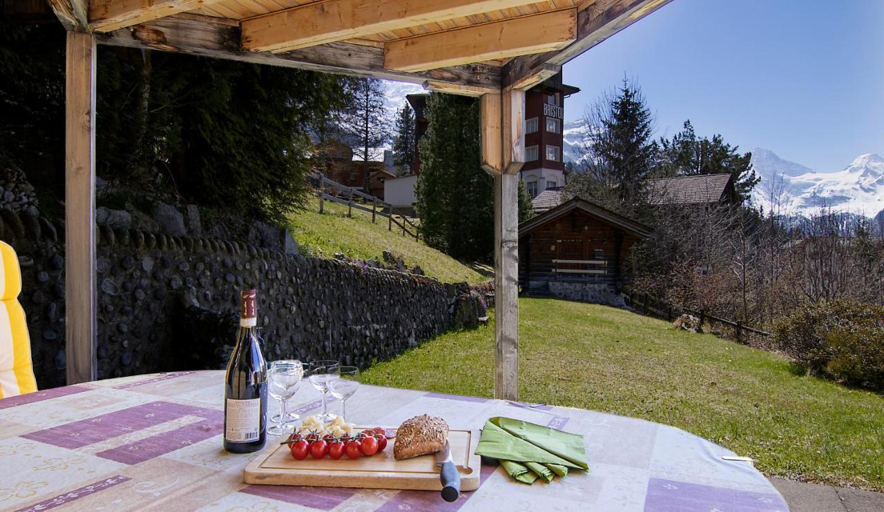 Chalet Steingaertli 1 Wengen Kültér fotó
